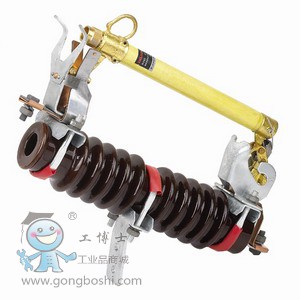 德力西 RW11-12 型戶外交流高壓跌落時(shí)熔斷器