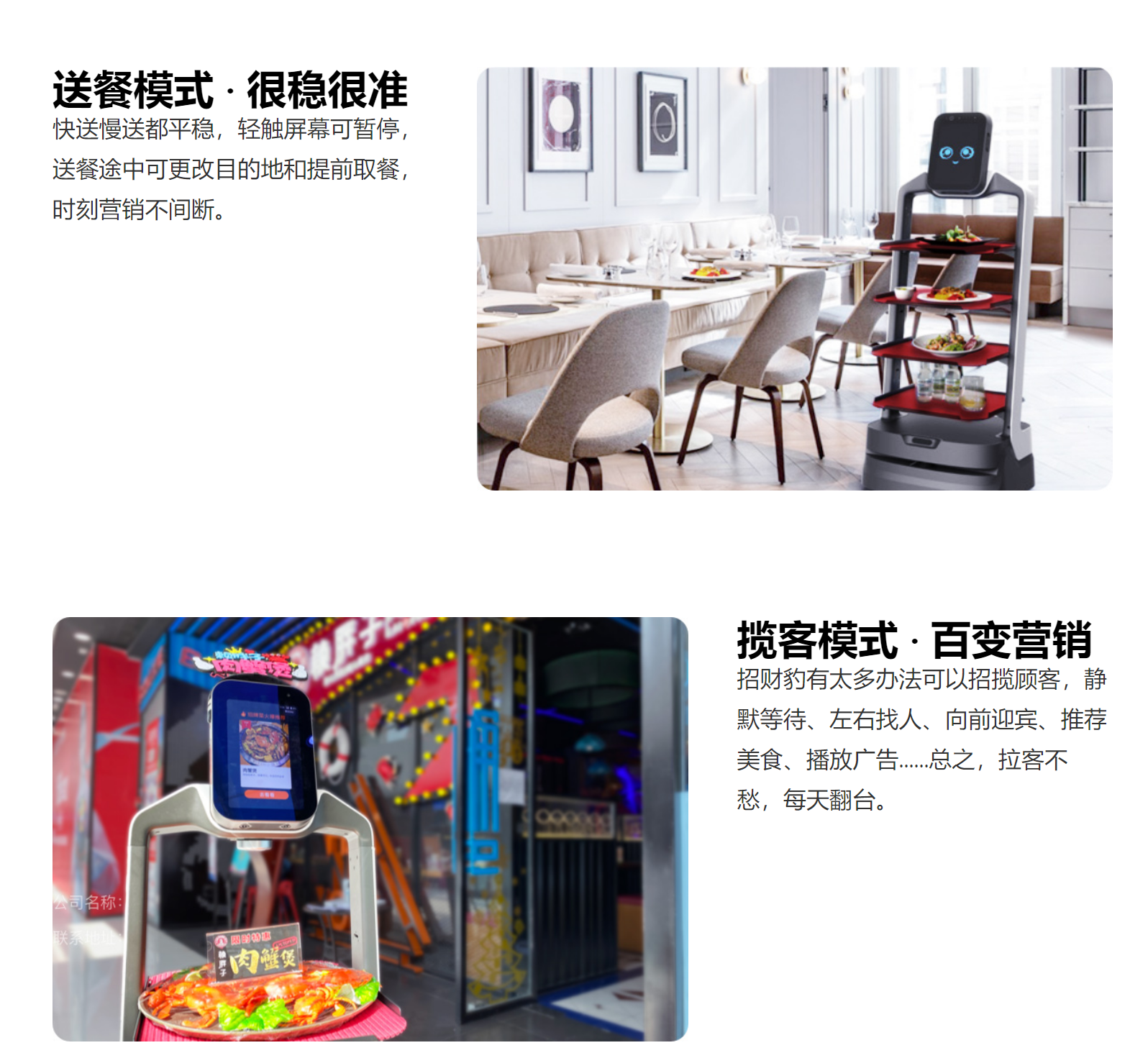 獵戶(hù)星空招財(cái)豹新聞
